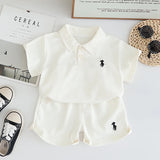 2025 Summer Children Boys Clothing Kids Cotton Polo T-Shirt Shorts 2Pcs/Set Toddler Casual Sport Suits Baby Clothes Tracksuits